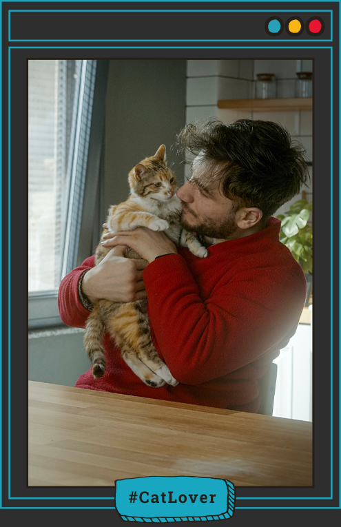 vínculo entre gatos y humanos con respeto